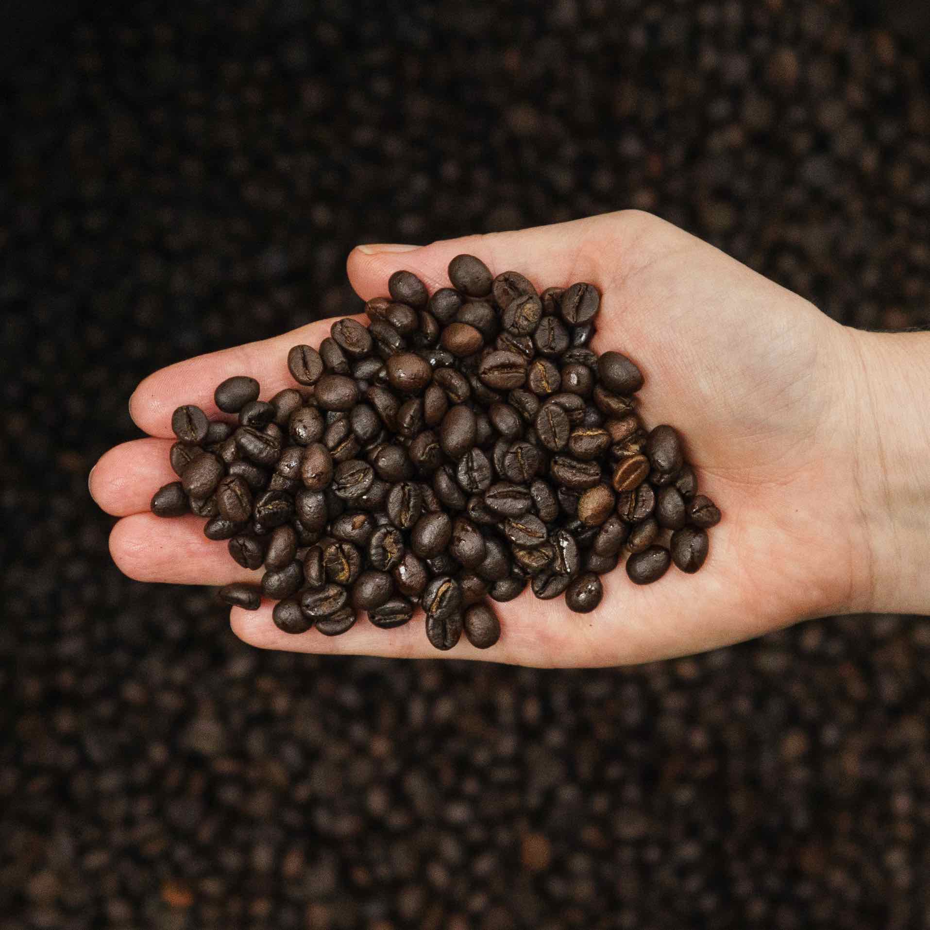 Robusta Kaffee, dunkel geröstet