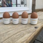 Was war zuerst? Das Huhn oder das Ei? Eierbecher - Set