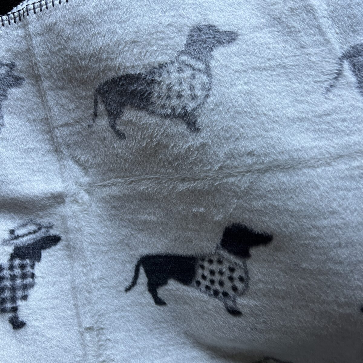 Decke mit Dackel – Bild 3