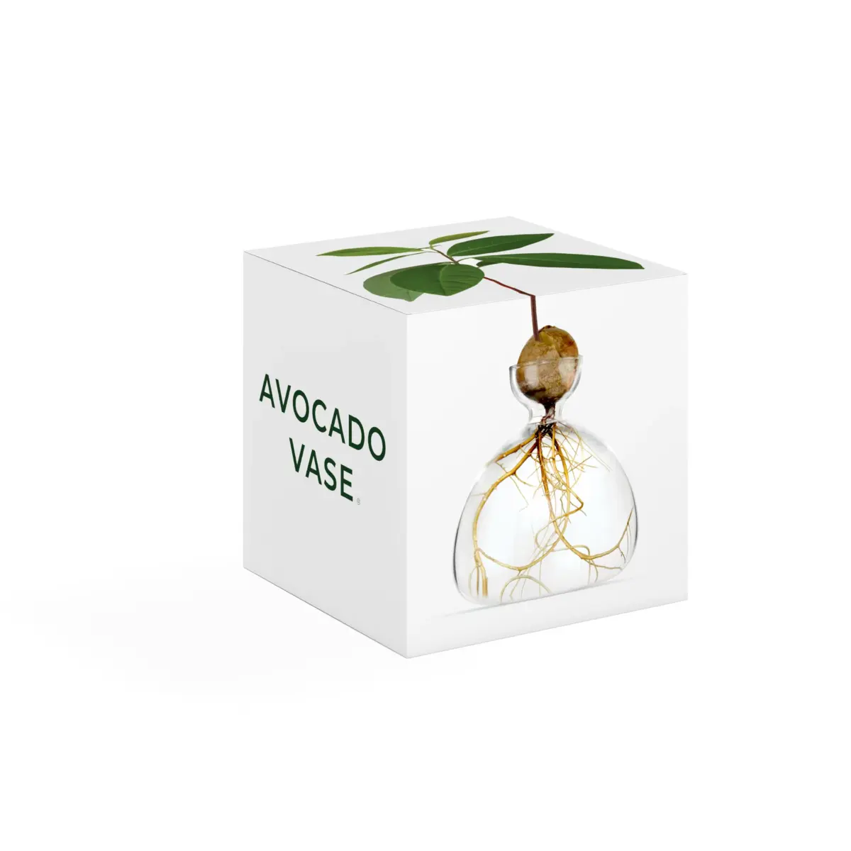 Avocado Vase in verschiedenen Farben – Bild 5