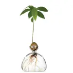 Avocado Vase in verschiedenen Farben – Bild 6