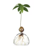 Avocado Vase in verschiedenen Farben – Bild 6