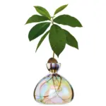 Avocado Vase in verschiedenen Farben – Bild 7