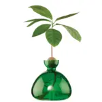 Avocado Vase in verschiedenen Farben