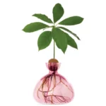 Avocado Vase in verschiedenen Farben – Bild 13